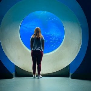 Meet your Posher, Abby